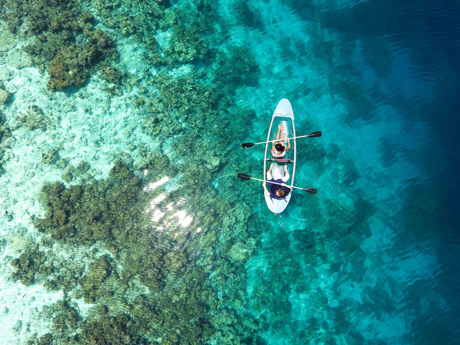Red Sea shore